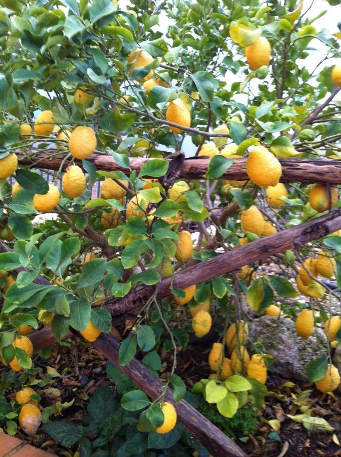 La Locanda Dei Fiori Bompensiere Bagian luar foto